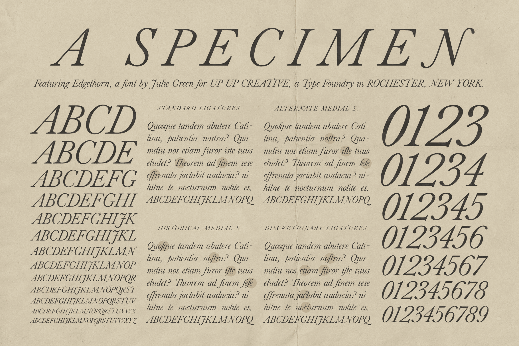 Edgethorn Serif Font - Serif Font - Up Up Creative