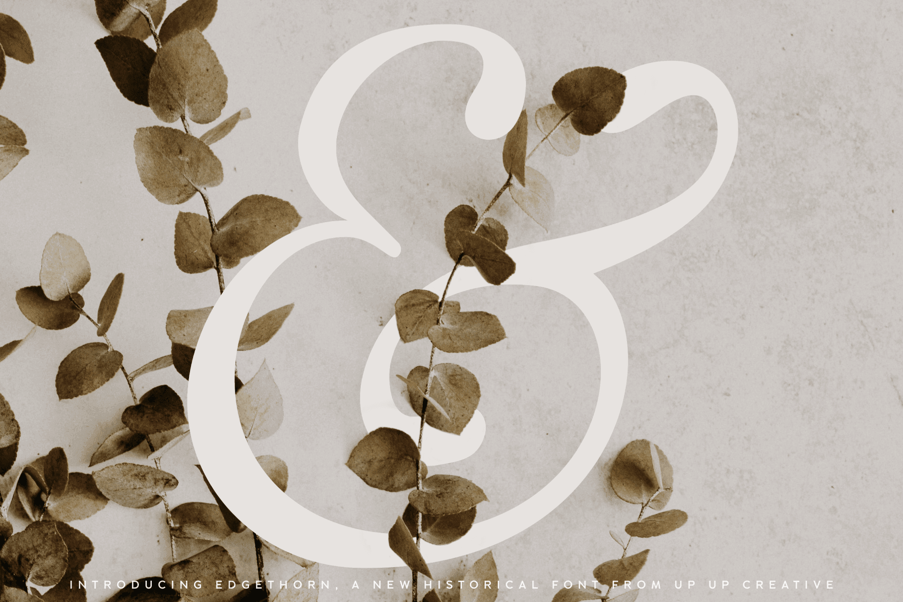 Edgethorn Serif Font - Serif Font - Up Up Creative