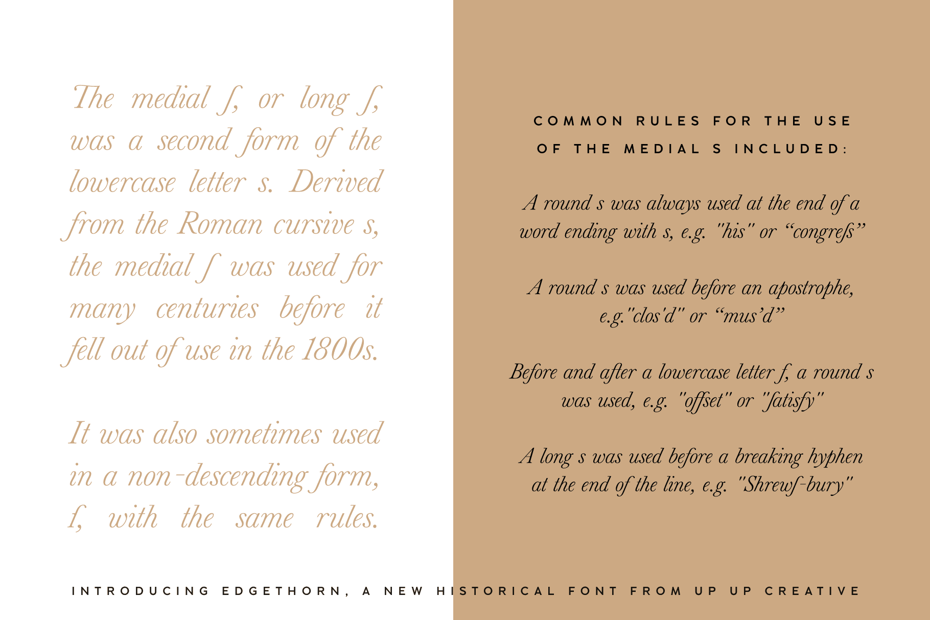 Edgethorn Serif Font - Serif Font - Up Up Creative