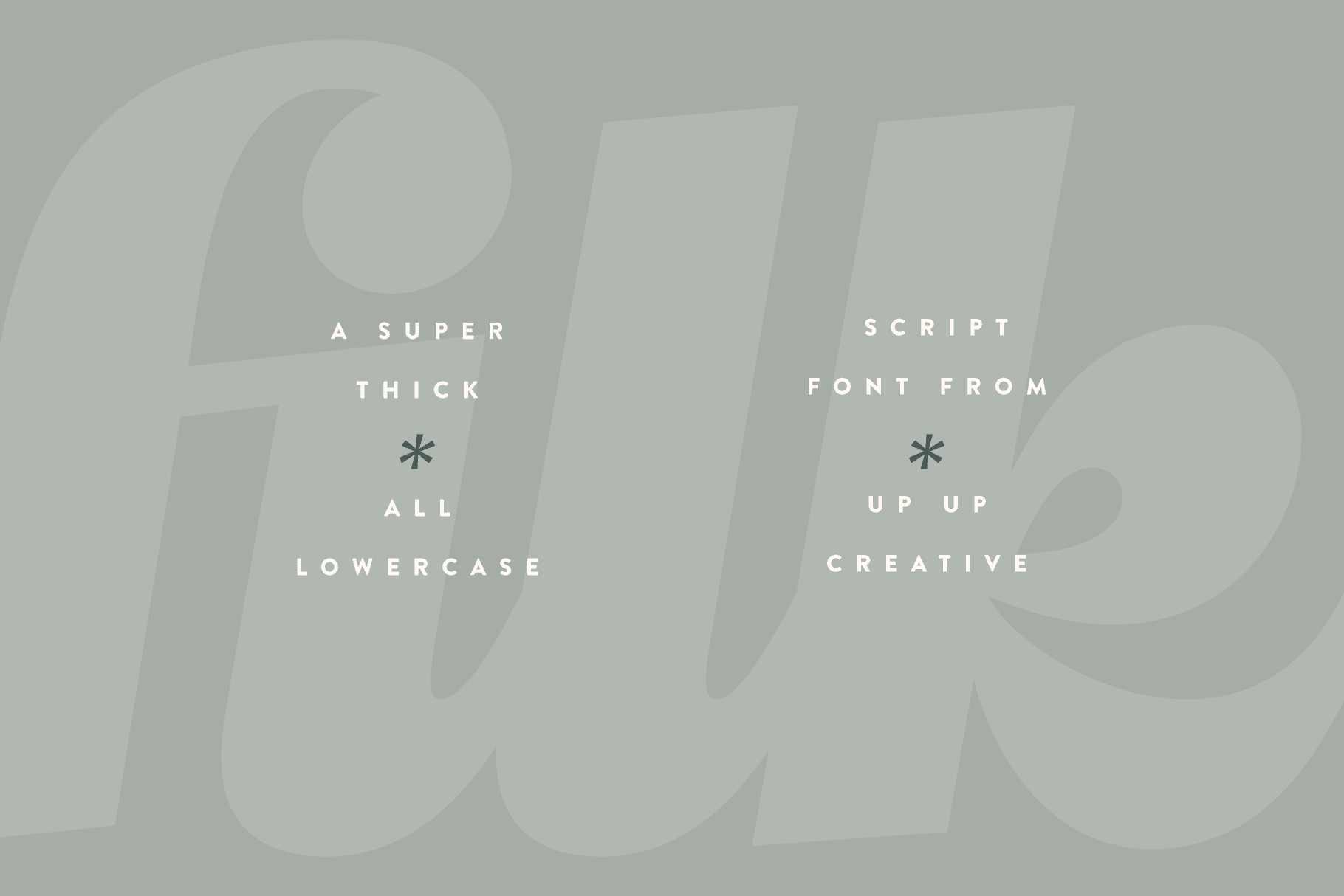 Filk Script Font - Script Font - Up Up Creative