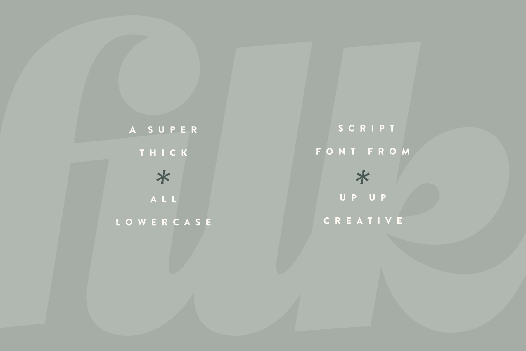 Script Fonts – Up Up Creative