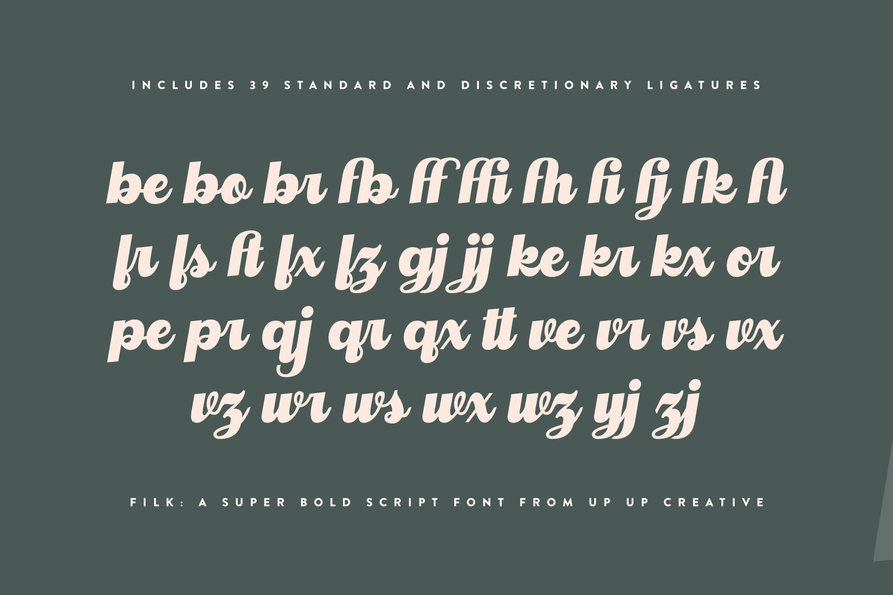 Filk Script Font - Script Font - Up Up Creative