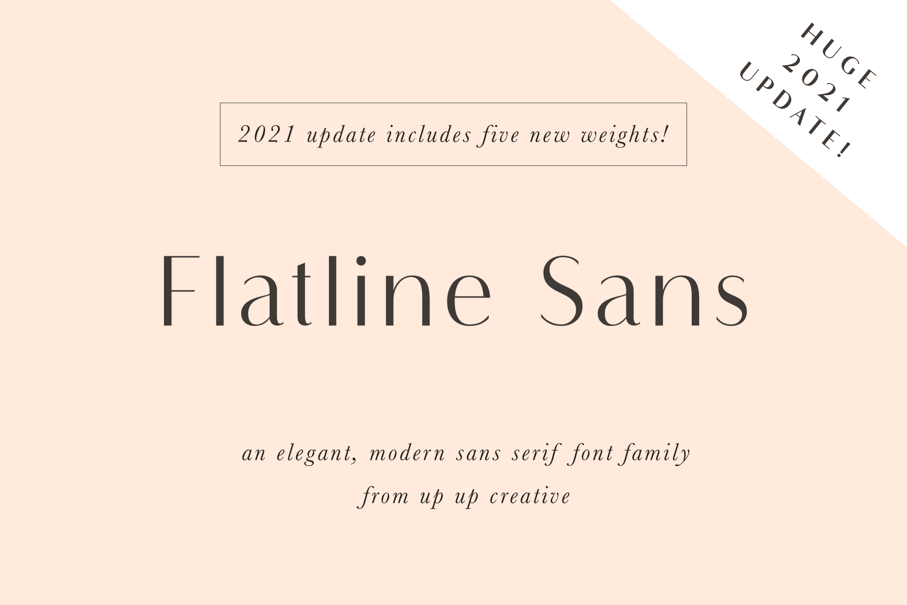 Flatline Sans Font Family - Sans Serif Font - Up Up Creative
