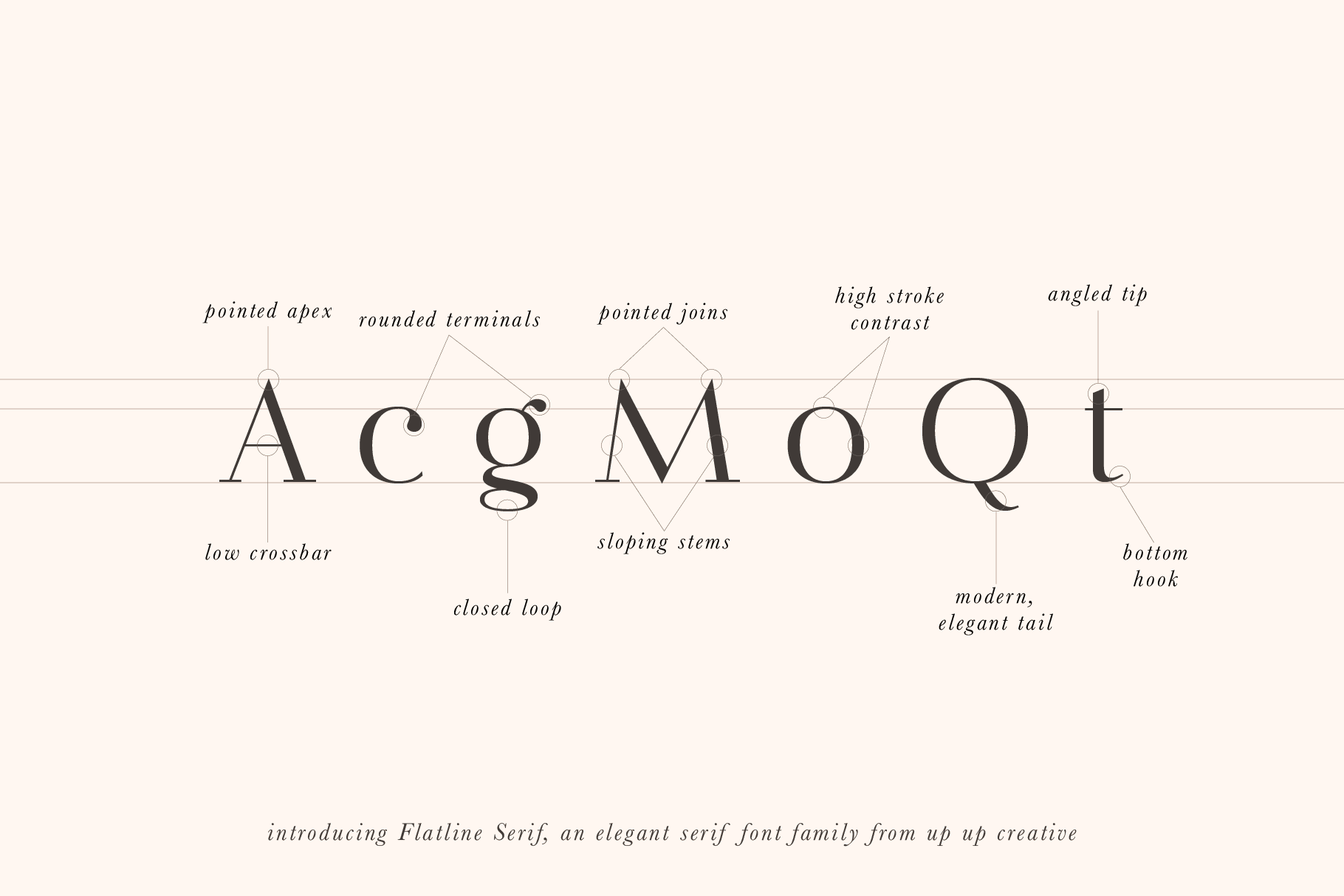Flatline Serif Font Family - Serif Font - Up Up Creative