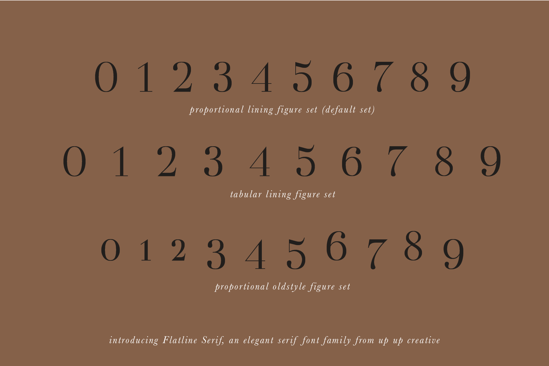 Flatline Serif Font Family - Serif Font - Up Up Creative