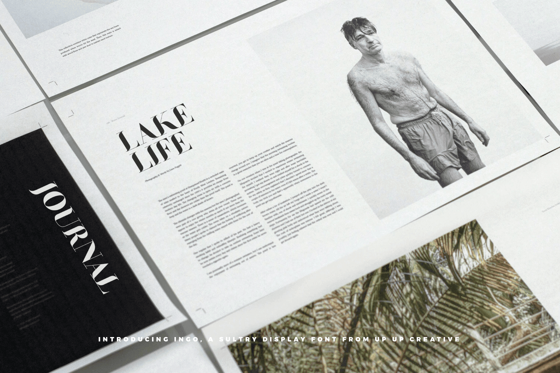 Ingo Display Font - Serif Font - Up Up Creative