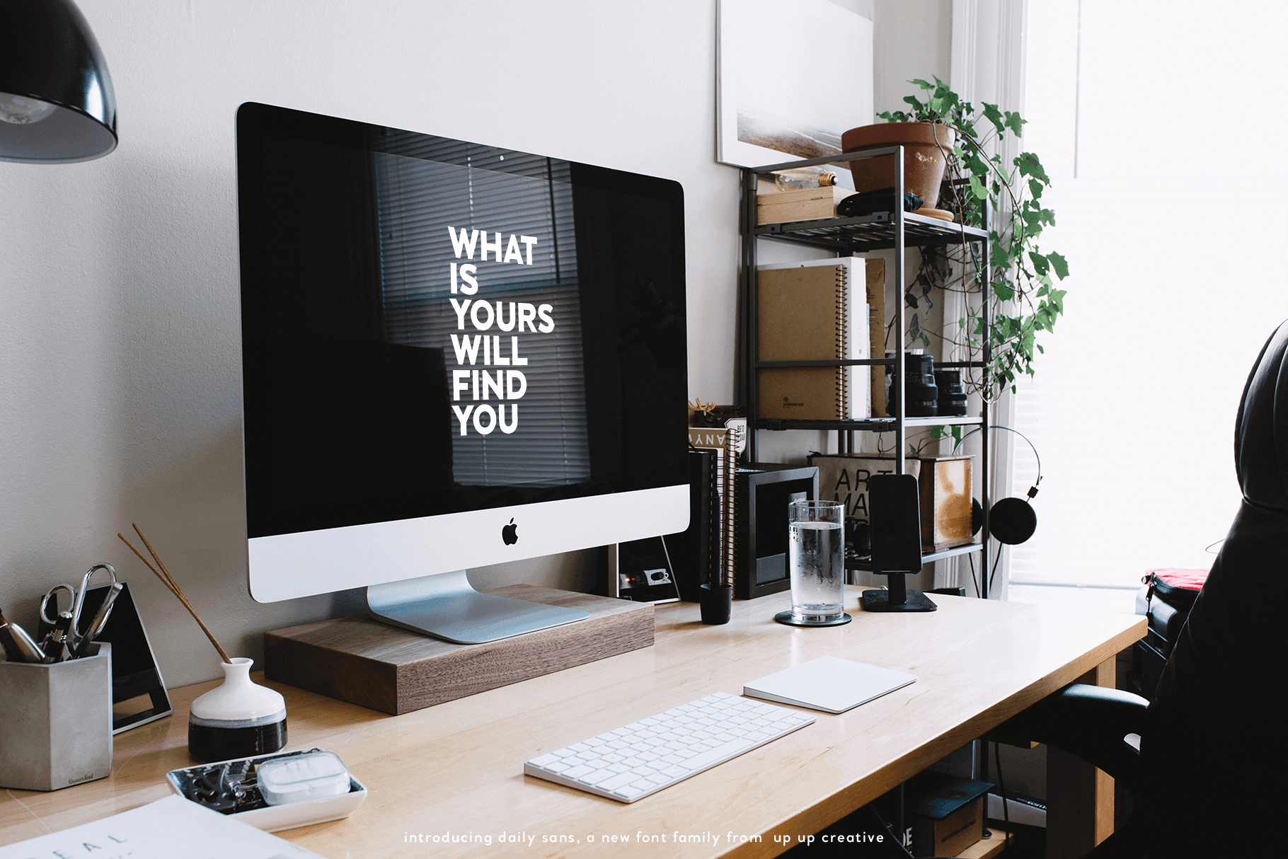Daily Sans Complete Sans Serif Font Family - Sans Serif Font - Up Up Creative