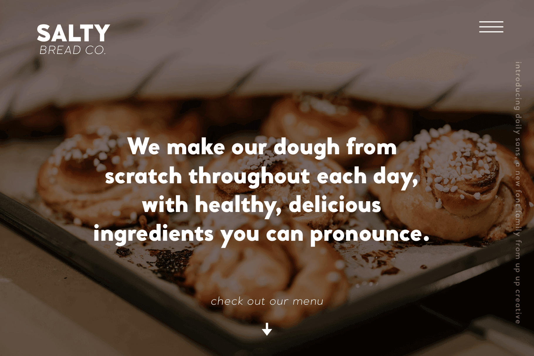 Daily Sans Complete Sans Serif Font Family - Sans Serif Font - Up Up Creative