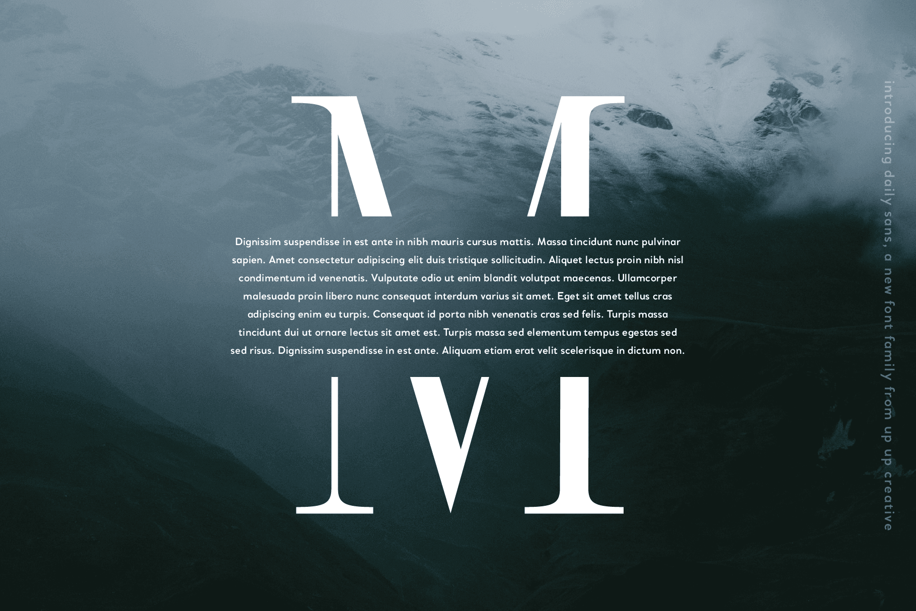 Daily Sans Complete Sans Serif Font Family - Sans Serif Font - Up Up Creative